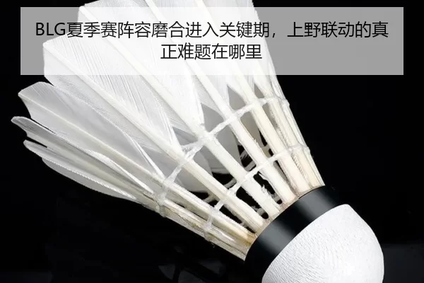 BLG夏季赛阵容磨合进入关键期，上野联动的真正难题在哪里